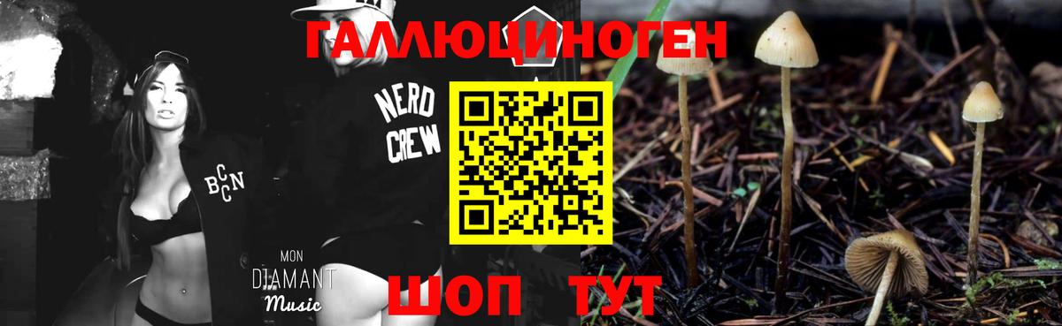 Псилоцибиновые грибы мухоморы  Вход с VPN  Владикавказ 